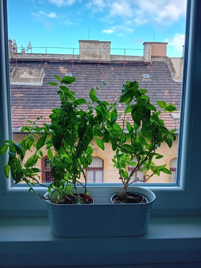 Apartment Octopus